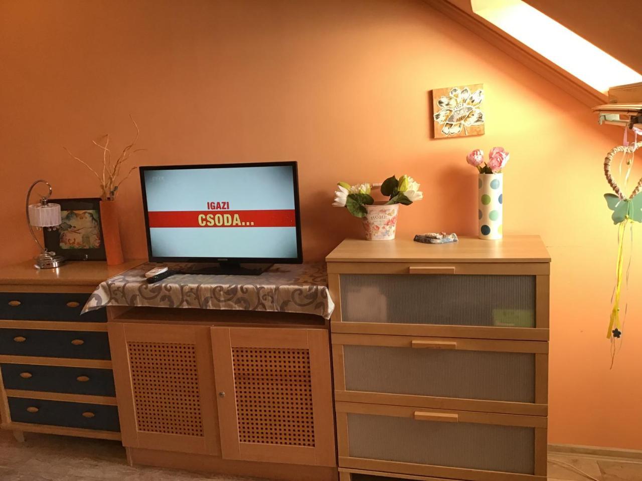 Family Wellness Apartman Hajduszoboszlo Bagian luar foto